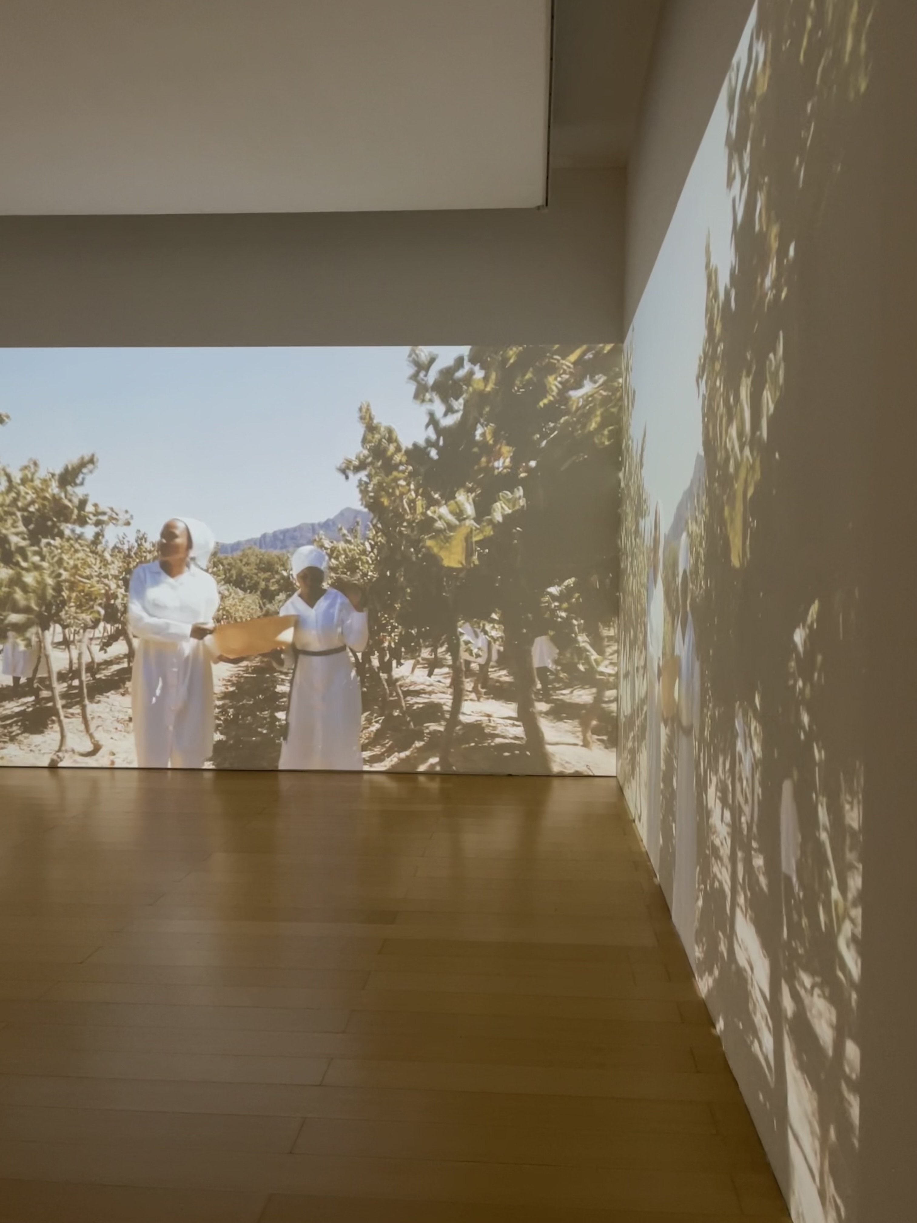 Museo d'Arte Contemporanea Donnaregina - Museo Madre