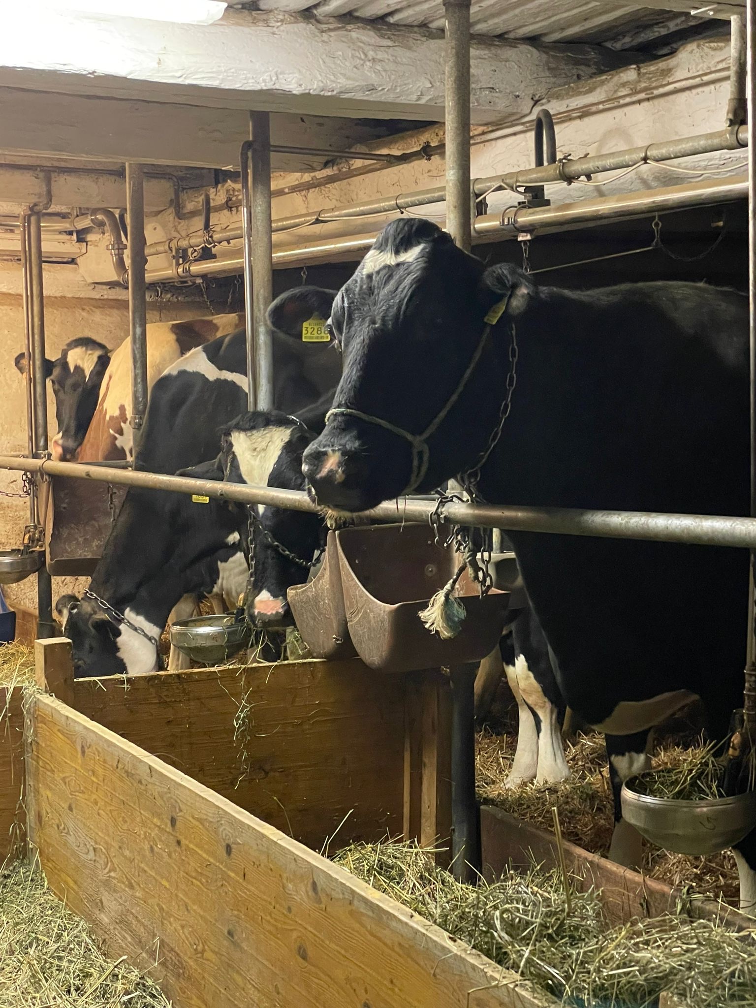 Maso Runch Hof foto 4