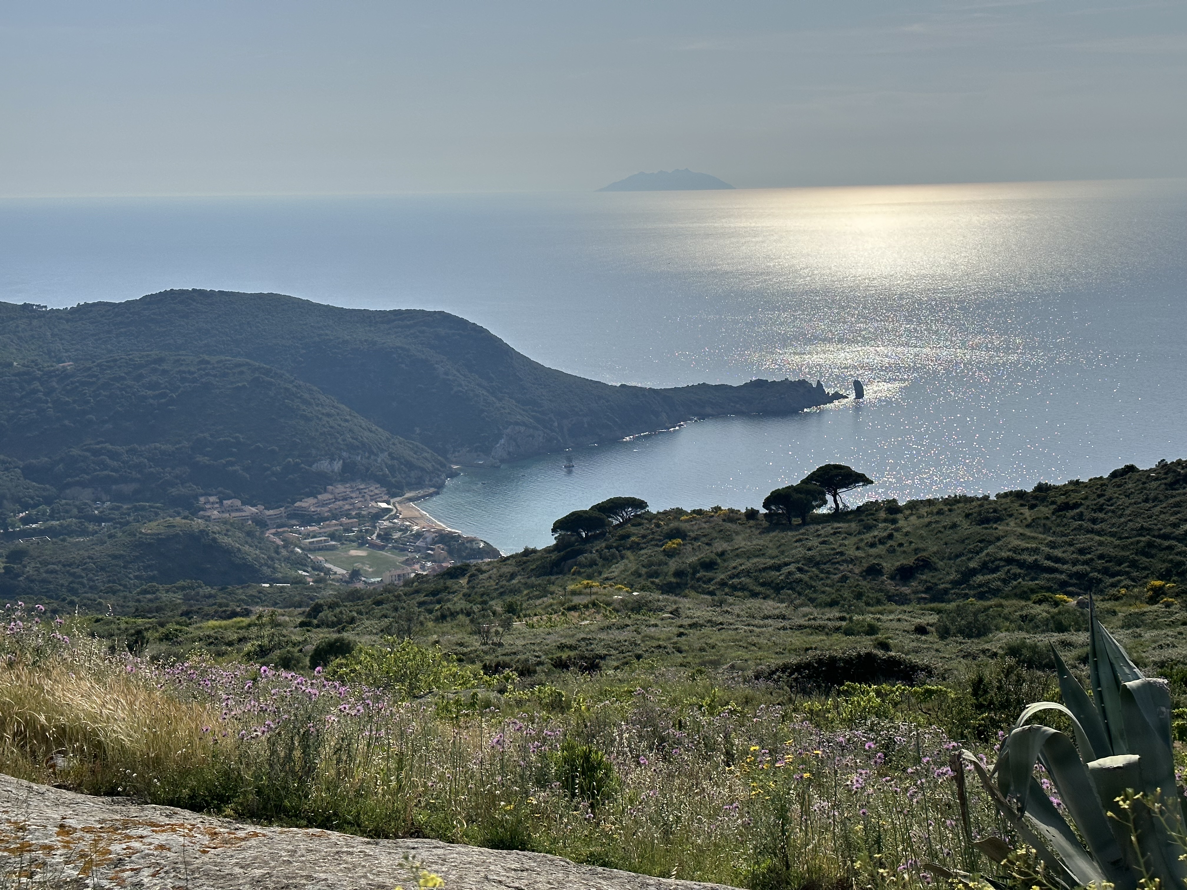 Trattoria del golfo